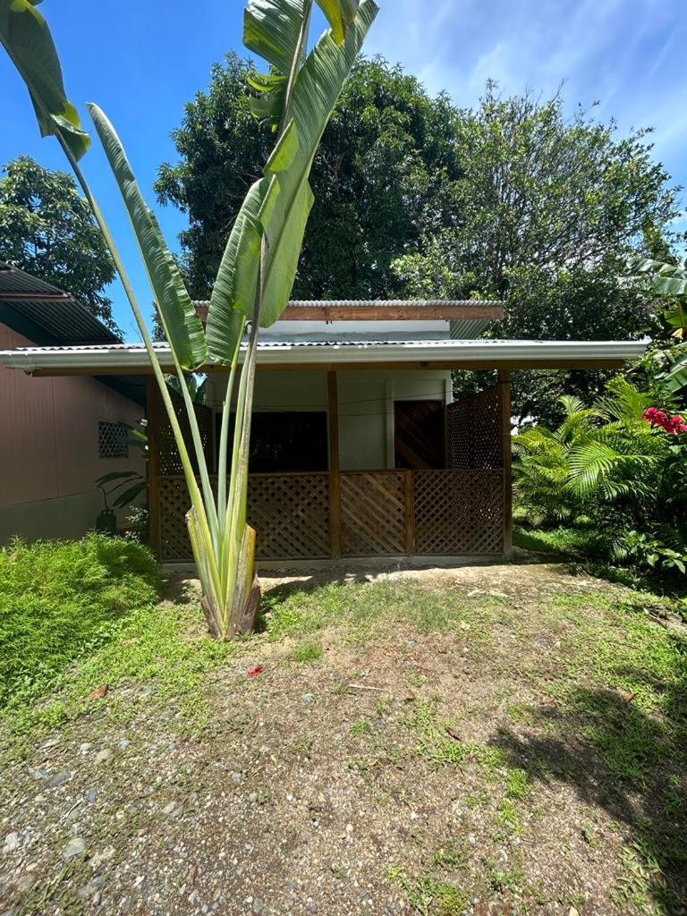 Ballena Oasis Homes อูวีตา ภายนอก รูปภาพ